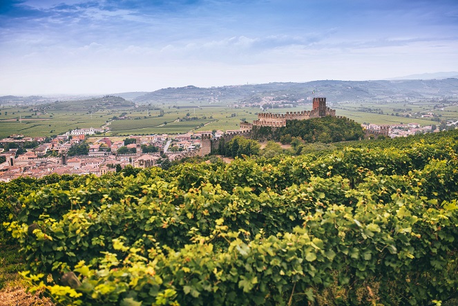 Soave_Castello